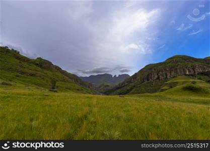 Green grass in a valley on the mountain Drakensberg South Africa