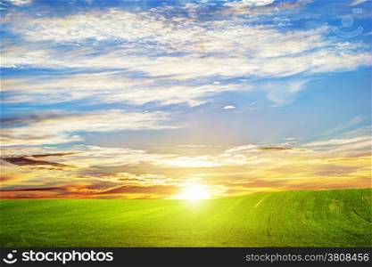 Green grass landscape at sunset. Romantic clouds. HD background