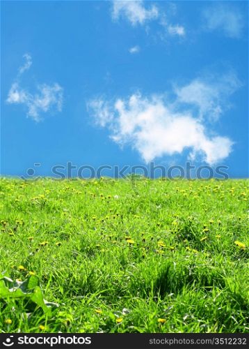 green grass landscape nature background