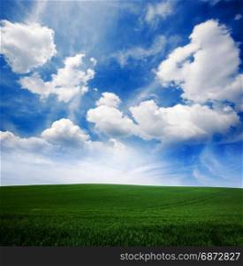 Green grass lawn and blue cloudy sky. Nature idyllic background