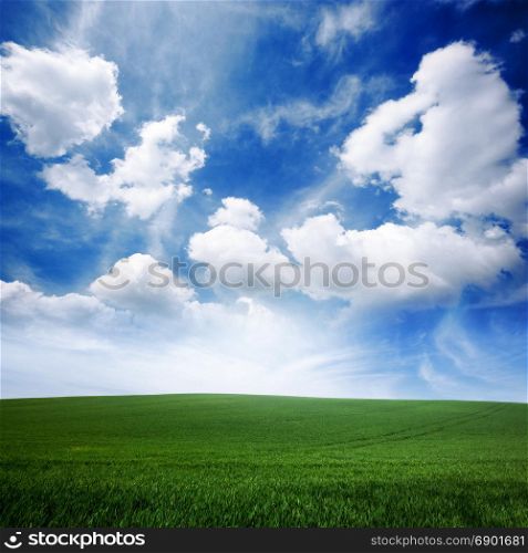 Green grass lawn and blue cloudy sky. Nature idyllic background