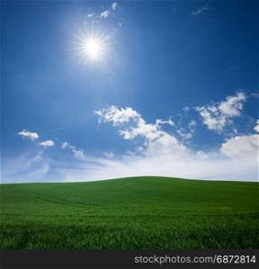 Green grass lawn and blue sunny sky. Nature idyllic background