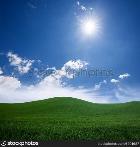 Green grass lawn and blue sunny sky. Nature idyllic background