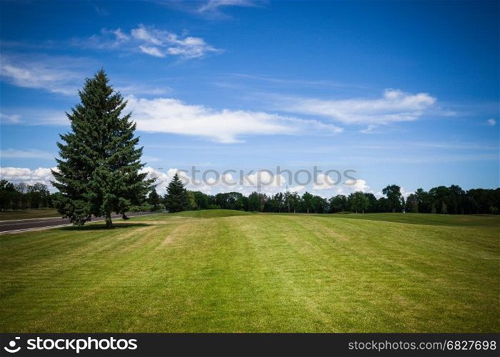 Green grass lawn at city park