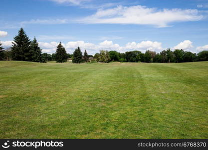 Green grass lawn at sunny day