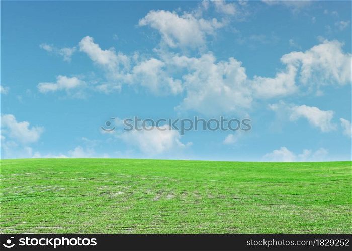 Green grass meadow and blue sky background. Natural field landscape