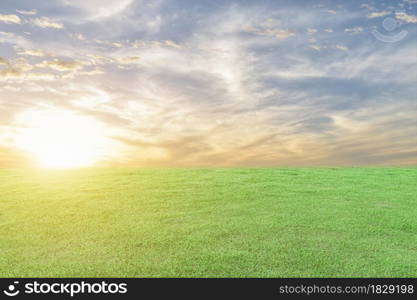 Green grass meadow and the sunset sky background. Natural field landscape