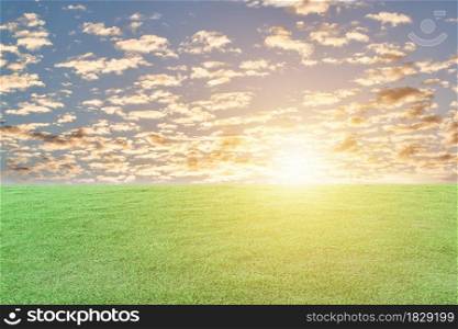 Green grass meadow and the sunset sky background. Natural field landscape