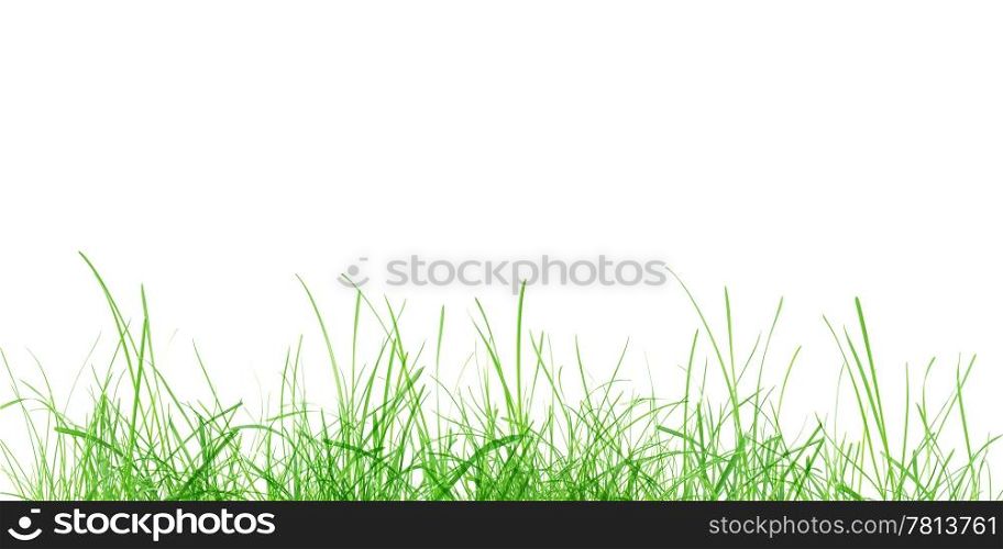Green grass meadow. Green grass meadow isolated over white background