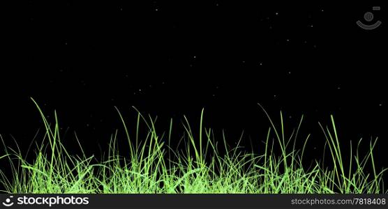 Green grass meadow. Green grass meadow over black background