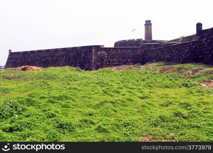 Green grass near wall of fortress in Galle, Sri Lanka