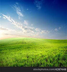 Green grass on field and clouds on sky