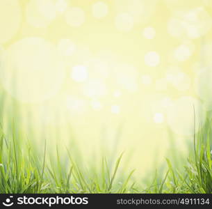 Green Grass on sunny boken nature background
