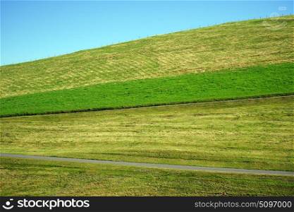 Green grass on the hill and road in Switzerland