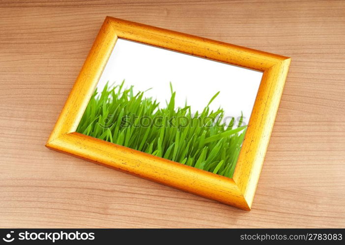 Green grass on the photo frame