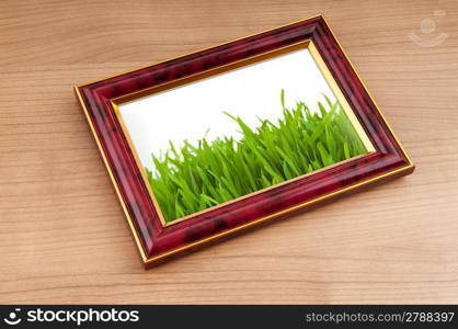 Green grass on the photo frame