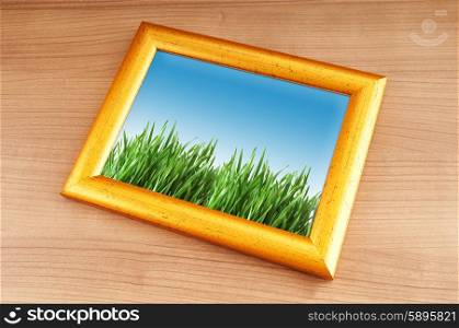 Green grass on the photo frame