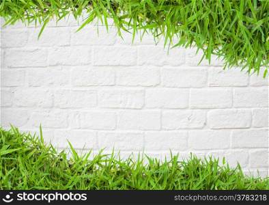 green grass on wall