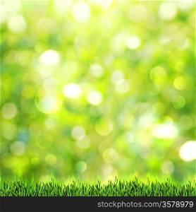 Green grass over abstract summer backgrounds with beauty bokeh