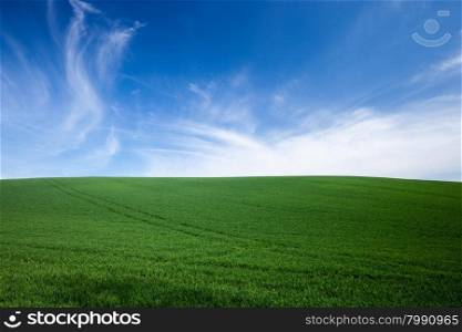 Green grass over blue sky background