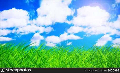 Green grass over cloudy sky (seamless loop)