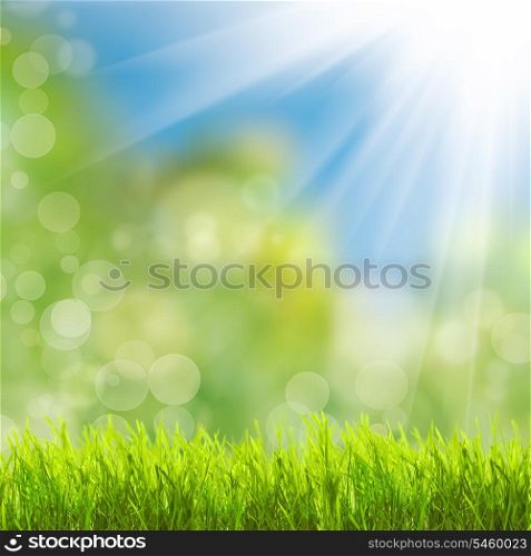 Green grass over spring bokeh and sunlight