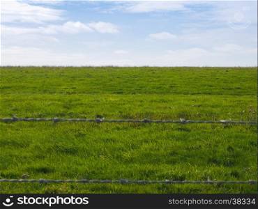 Green grass surface background. Green grass useful as a background with defocused barbed wire in front, focus on background
