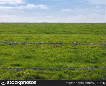 Green grass surface background. Green grass useful as a background with defocused barbed wire in front, focus on background