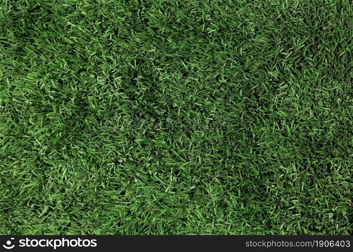 green grass texture close up. High resolution photo. green grass texture close up. High quality photo