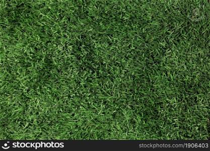 green grass texture close up. High resolution photo. green grass texture close up. High quality photo