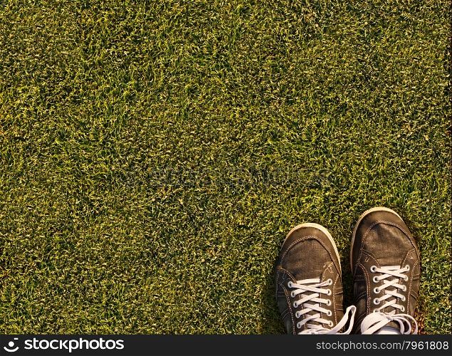 Green grass texture from a soccer field