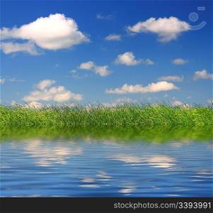 green grass under blue sky background