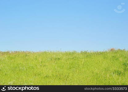 Green grass with blue sky and clouds.