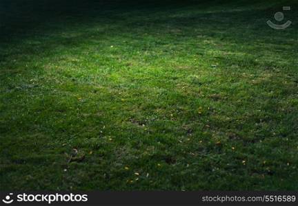 Green grass with spot of light with vignette