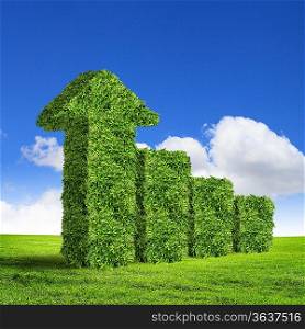 Green grass word success against blue sky