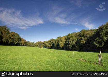 Green grassy meadow in a hilly landscape close to the Dutch city Nijmegen. Hilly landscape near Nijmegen