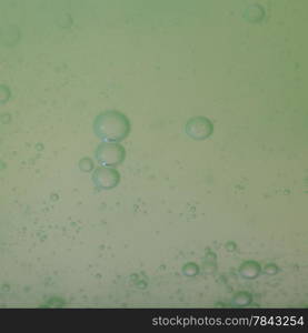 Green gray abstract blurred liquid background with soap bubbles. Square format