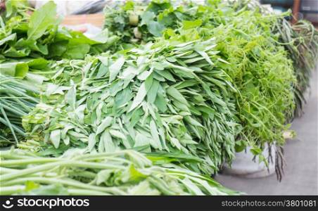 Green grocery at local market, stock photo