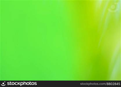 Green haze bokeh backdrop. Green olive color blurred motion out of focus background.. Greenery verdant color blurred background with copy space