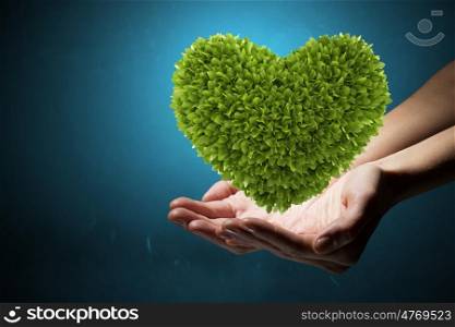 Green heart in hands. Green heart in human hands representing ecology and health concept