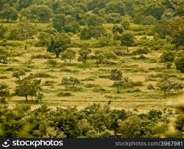 Green Heaths, Bhopal, Madhya pradesh, India