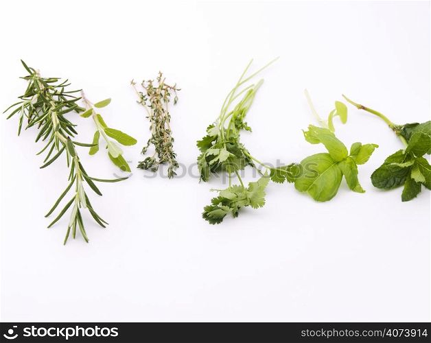Green herbs. Rosemary, sage, thyme, coriander, basil, peppermint on white background