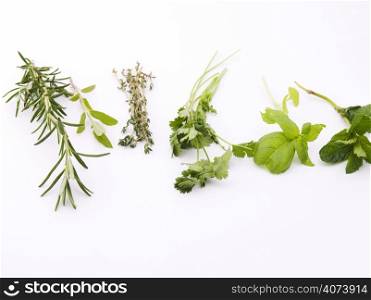 Green herbs. Rosemary, sage, thyme, coriander, basil, peppermint on white background