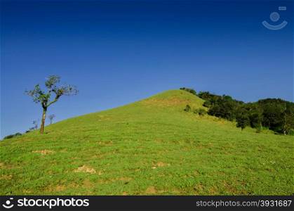 green hill with blue sky