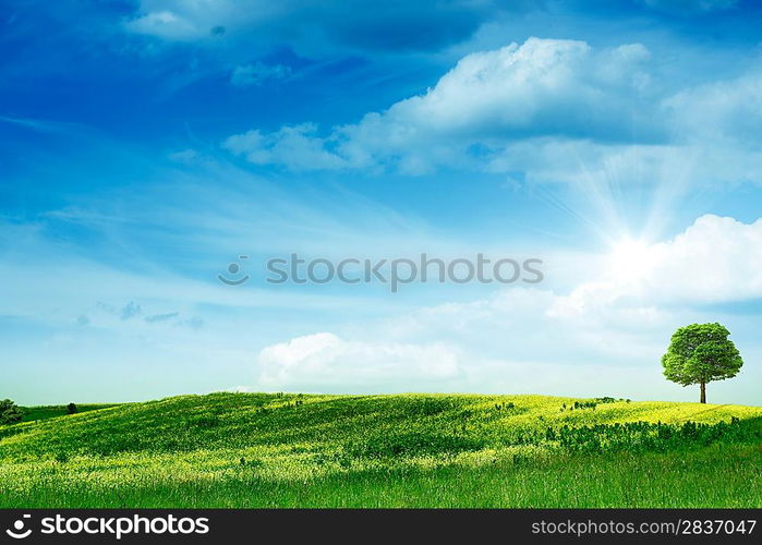 Green hills. Abstract summer backgrounds.