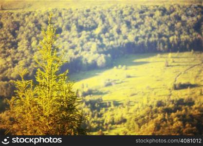 Green hills beautiful summer landscape in the mountains Bieszczady Poland
