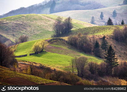 Green hills in mountain valley. Spring landscape. Agricultural field on hillside in mountains near village in morning light