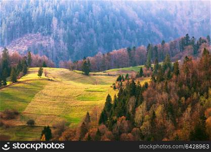 Green hills in mountain valley. Spring landscape. Agricultural field on hillside in mountains near village in morning light