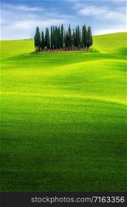 Green hills landscape under blue sky with cypress trees in countryside of Tuscany in Italy . Spring and summer nature background .
