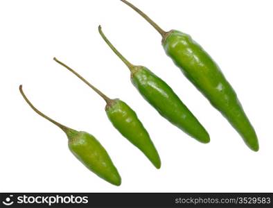 Green hot chili peppers pattern on white background